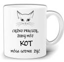 gw193-kot.jpg