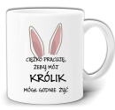 gw194-krolik.jpg