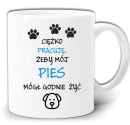 gw195-pies.jpg