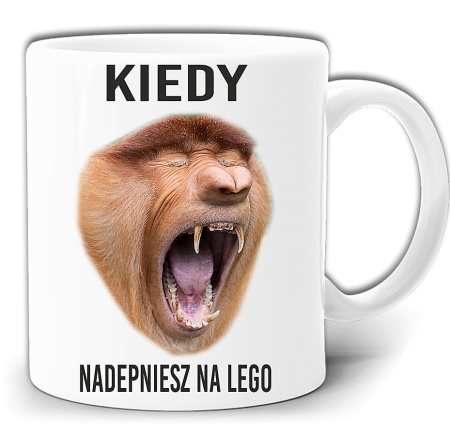 gw212-kiedynadepniesznalego.jpg