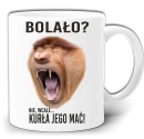 gw213-czy-bolalo.jpg