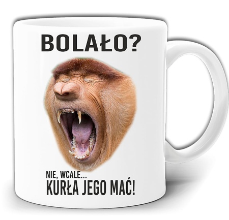 gw213-czy-bolalo.jpg