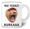 gw215-nieteraz-kurla.jpg