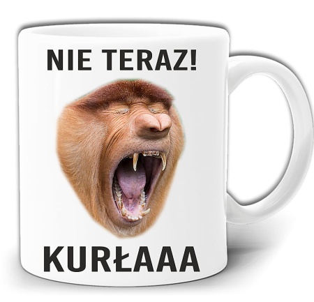 gw215-nieteraz-kurla.jpg
