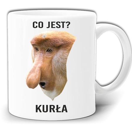 gw219-co-jest-kurla.jpg