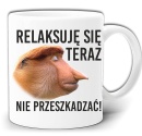 gw222-relaksuje-sie-teraz-nie-przeszkadzac.jpg
