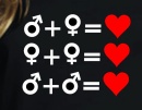 8163.jpg