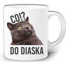 GW254-CODODIASKA-KOT-KUBEK.jpg