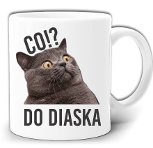CO DO DIASKA KOT NA ŚMIESZNYM KUBKU KUBEK W PUDEŁKU GW254