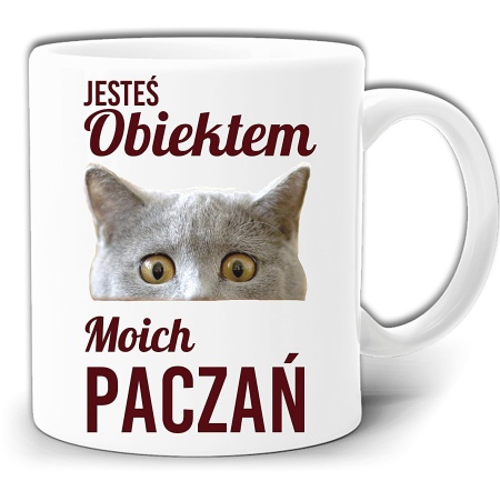 gw357-obiekt-paczan.jpg