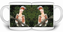 PAPUGI ARA FALISTA ZWIERZĘTA KUBEK + PUDEŁKO GW418