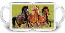 KOŃ KONIE ZWIERZĘTA NATURA KUBEK + PUDEŁKO GW429