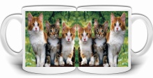 KOTY KOTKI KICIE NADRUK KUBEK + PUDEŁKO GW438