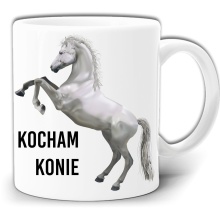 KOCHAM KONIE KOŃ KUBEK + PUDEŁKO GW527