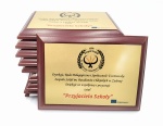Pamiątka, podziękowanie, trofeum (Płyta MDF z nadrukiem), trofeum