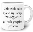 gw553.jpg