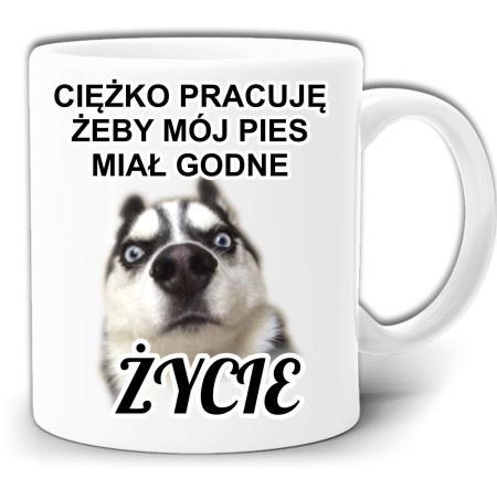 GW701.jpg