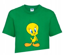 Koszulka T-shirt Fana LOONEY TUNES 110-122 LT5