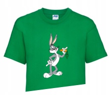 Koszulka T-shirt Fana LOONEY TUNES 110-122 LT2