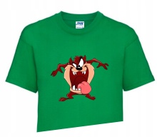 Koszulka T-shirt Fana LOONEY TUNES 110-122 LT1