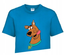 Koszulka T-shirt Fana Gift SCOOBY DOO 134-140 SD2
