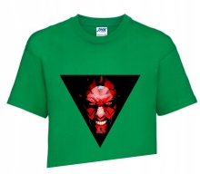 Koszulka T-shirt Fana Gift STAR WARS 110-122 SW8