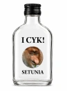 i cykpiersiowka.png
