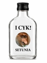 Piersiówka butelka z nadrukiem 100 ml - 1 sztuka