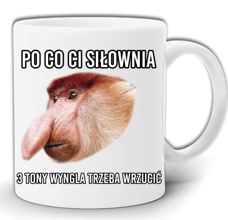 GW69-SILOWNIA.jpg