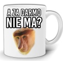 gw71-za-darmo-nosacz.jpg