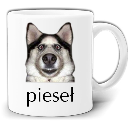 gw162-pieseł.jpg